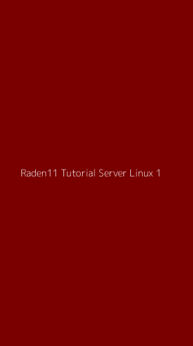 Tampilan Antarmuka Aplikasi Raden11 Tutorial Server Linux - 1