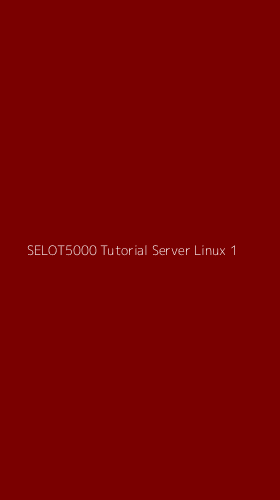 Tampilan Antarmuka Aplikasi Selot5000 Tutorial Server Linux - 1