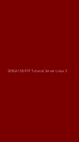 Tampilan Antarmuka Aplikasi Sensa138 Rtp Tutorial Server Linux - 3