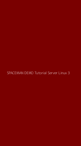 Tampilan Antarmuka Aplikasi Spaceman Demo Tutorial Server Linux - 3