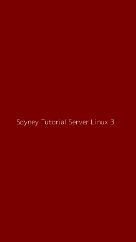 Tampilan Antarmuka Aplikasi Sdyney Tutorial Server Linux - 3