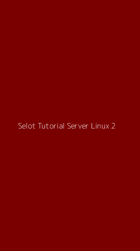 Tampilan Antarmuka Aplikasi Selot Tutorial Server Linux - 2
