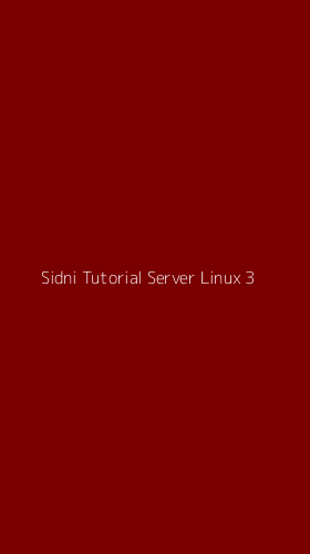 Tampilan Antarmuka Aplikasi Sidni Tutorial Server Linux - 3