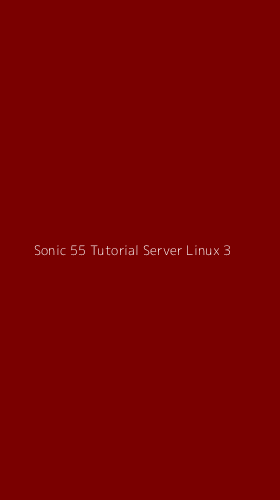 Tampilan Antarmuka Aplikasi Sonic 55 Tutorial Server Linux - 3