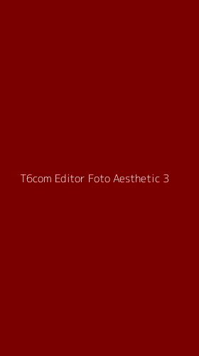 Tampilan Antarmuka Aplikasi T6com Editor Foto Aesthetic - 3