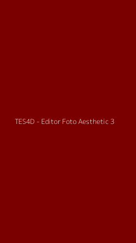 Tampilan Antarmuka Aplikasi TES4D - Editor Foto Aesthetic - 3