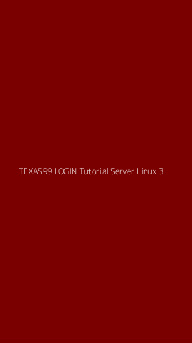 Tampilan Antarmuka Aplikasi Texas99 Login Tutorial Server Linux - 3