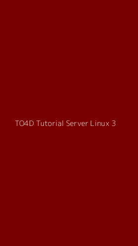 Tampilan Antarmuka Aplikasi To4d Tutorial Server Linux - 3
