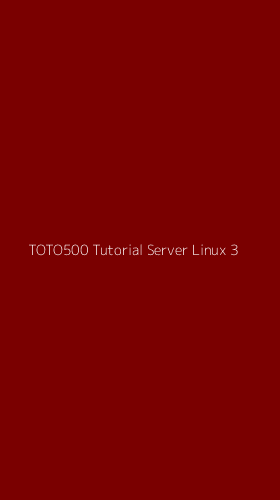 Tampilan Antarmuka Aplikasi Toto500 Tutorial Server Linux - 3