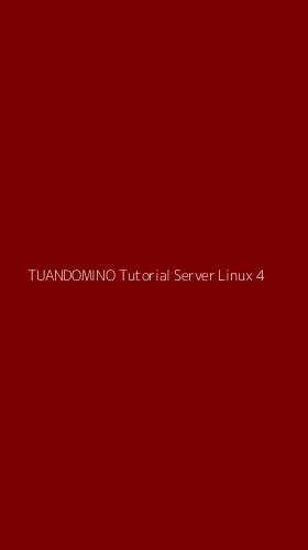 Tampilan Antarmuka Aplikasi Tuandomino Tutorial Server Linux - 4