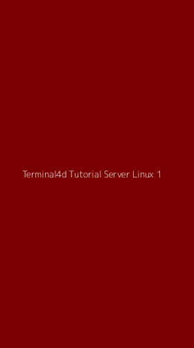 Tampilan Antarmuka Aplikasi Terminal4d Tutorial Server Linux - 1
