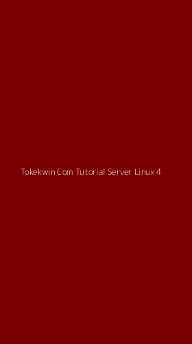 Tampilan Antarmuka Aplikasi Tokekwin Com Tutorial Server Linux - 4