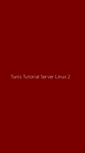 Tampilan Antarmuka Aplikasi Tunis Tutorial Server Linux - 2