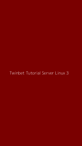 Tampilan Antarmuka Aplikasi Twinbet Tutorial Server Linux - 3