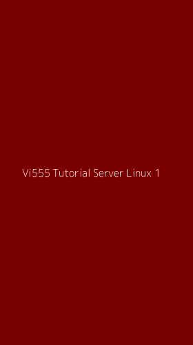 Tampilan Antarmuka Aplikasi Vi555 Tutorial Server Linux - 1