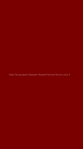 Tampilan Antarmuka Aplikasi Video Tarung Ayam Champion Thailand Tutorial Server Linux - 3