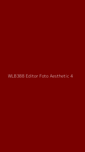 Tampilan Antarmuka Aplikasi Wlb388 Editor Foto Aesthetic - 4