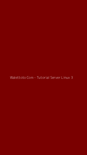 Tampilan Antarmuka Aplikasi Walettoto Com - Tutorial Server Linux - 3