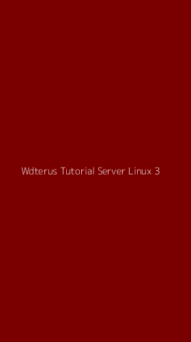 Tampilan Antarmuka Aplikasi Wdterus Tutorial Server Linux - 3