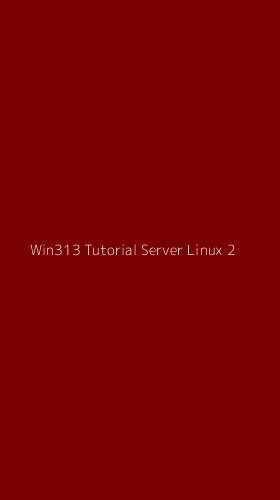 Tampilan Antarmuka Aplikasi Win313 Tutorial Server Linux - 2
