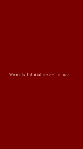 Tampilan Antarmuka Aplikasi Winmulu Tutorial Server Linux - 2