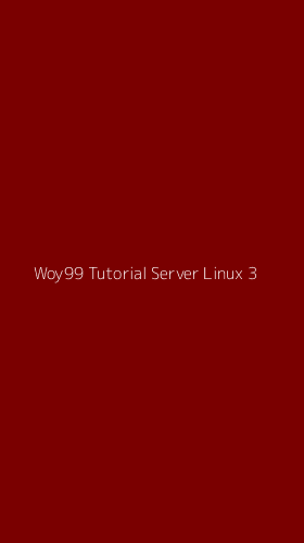 Tampilan Antarmuka Aplikasi Woy99 Tutorial Server Linux - 3