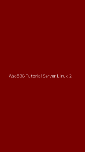 Tampilan Antarmuka Aplikasi Wso888 Tutorial Server Linux - 2