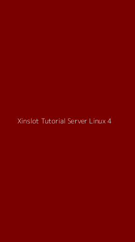 Tampilan Antarmuka Aplikasi Xinslot Tutorial Server Linux - 4