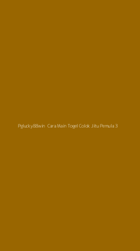 Tampilan Antarmuka Aplikasi Pglucky88win Cara Main Togel Colok Jitu Pemula - 3