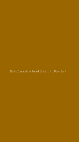 Tampilan Antarmuka Aplikasi 2bets Cara Main Togel Colok Jitu Pemula - 1
