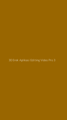 Tampilan Antarmuka Aplikasi 30 Erek Aplikasi Editing Video Pro - 3