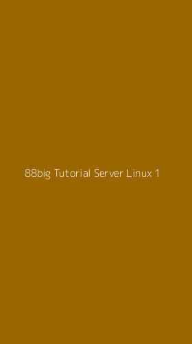 Tampilan Antarmuka Aplikasi 88big Tutorial Server Linux - 1