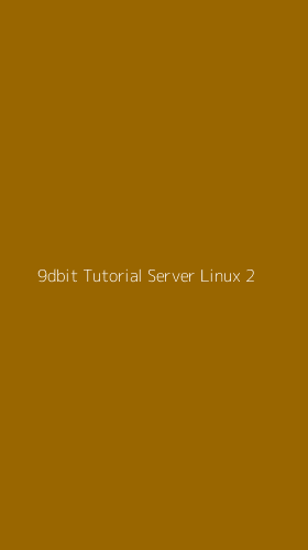 Tampilan Antarmuka Aplikasi 9dbit Tutorial Server Linux - 2