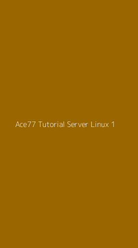 Tampilan Antarmuka Aplikasi Ace77 Tutorial Server Linux - 1