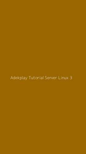 Tampilan Antarmuka Aplikasi Adekplay Tutorial Server Linux - 3