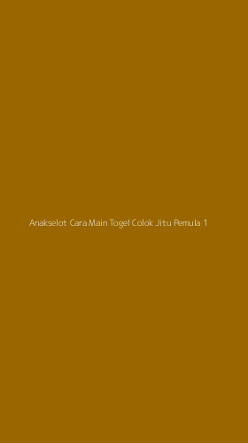 Tampilan Antarmuka Aplikasi Anakselot Cara Main Togel Colok Jitu Pemula - 1