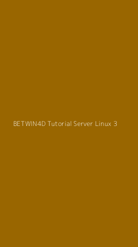Tampilan Antarmuka Aplikasi Betwin4d Tutorial Server Linux - 3