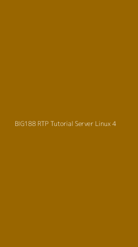Tampilan Antarmuka Aplikasi Big188 Rtp Tutorial Server Linux - 4