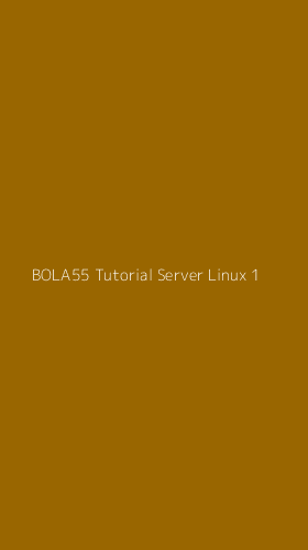 Tampilan Antarmuka Aplikasi Bola55 Tutorial Server Linux - 1