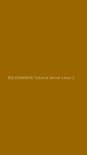 Tampilan Antarmuka Aplikasi Bolatangkas Tutorial Server Linux - 2