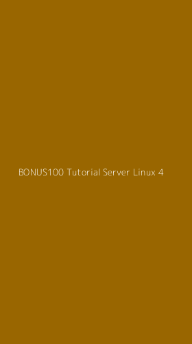 Tampilan Antarmuka Aplikasi Bonus100 Tutorial Server Linux - 4