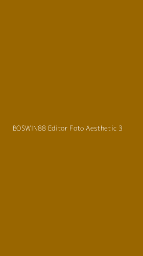 Tampilan Antarmuka Aplikasi Boswin88 Editor Foto Aesthetic - 3