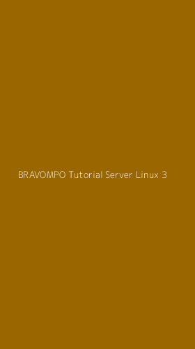Tampilan Antarmuka Aplikasi Bravompo Tutorial Server Linux - 3