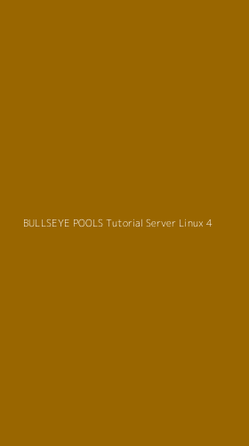 Tampilan Antarmuka Aplikasi Bullseye Pools Tutorial Server Linux - 4