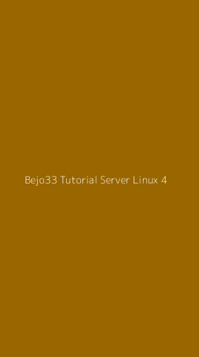 Tampilan Antarmuka Aplikasi Bejo33 Tutorial Server Linux - 4