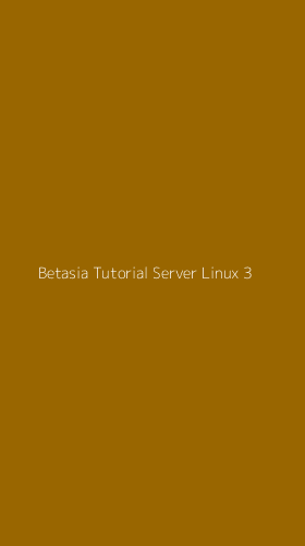 Tampilan Antarmuka Aplikasi Betasia Tutorial Server Linux - 3