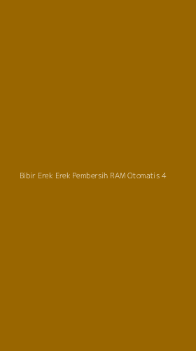 Tampilan Antarmuka Aplikasi Bibir Erek Erek Pembersih Ram Otomatis - 4