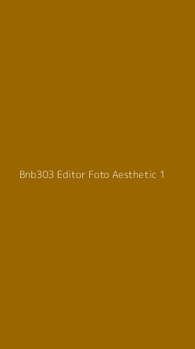 Tampilan Antarmuka Aplikasi Bnb303 Editor Foto Aesthetic - 1