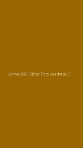 Tampilan Antarmuka Aplikasi Borneo388 Editor Foto Aesthetic - 3