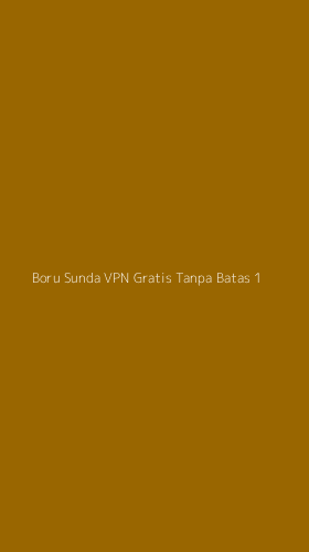 Tampilan Antarmuka Aplikasi Boru Sunda Vpn Gratis Tanpa Batas - 1